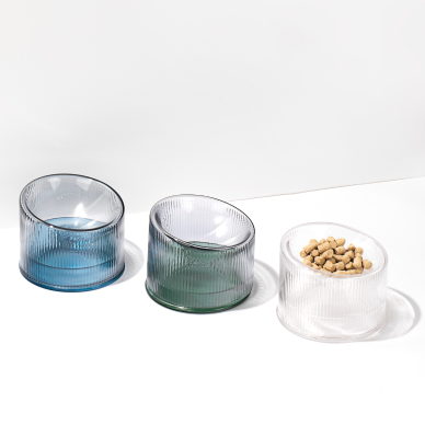 2-in-1 Elevated Glass Cat Bowl