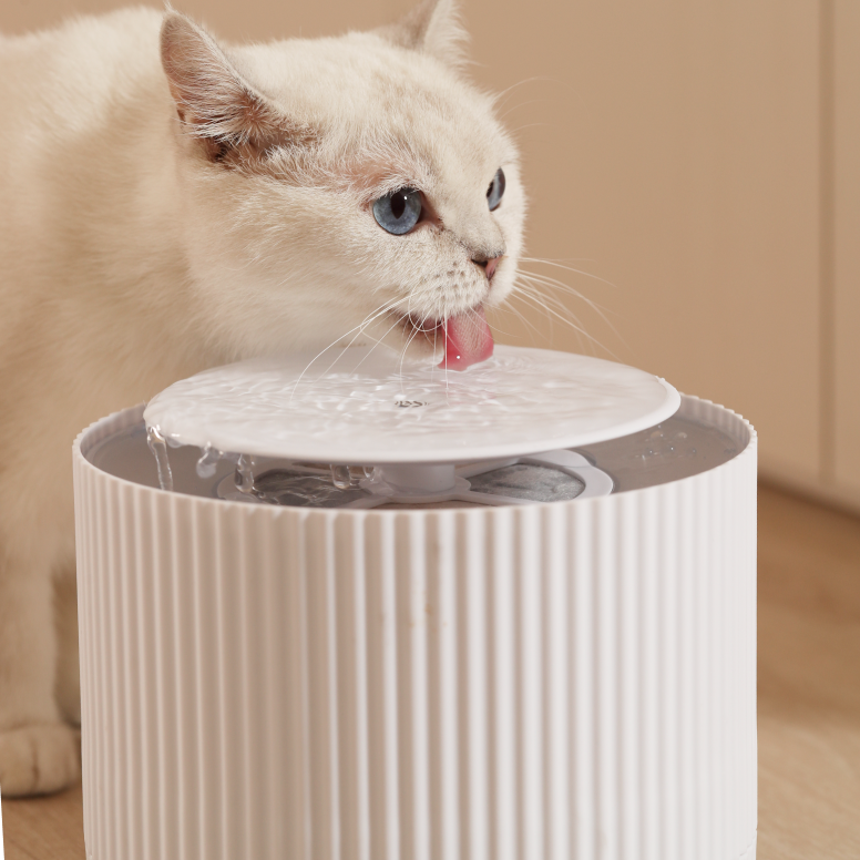 Automatic Clear Cat Water Fountain (2L)