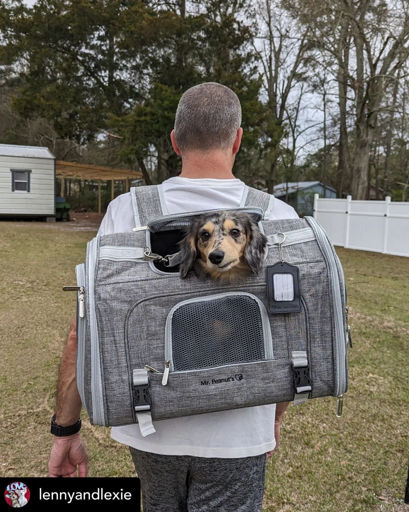 Monterey Series Backpack Airline Compliant Pet Carrier