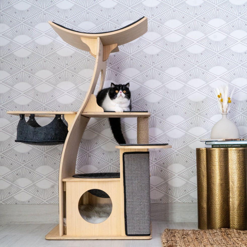 Cat Condo The Jungle Gym Cat Tree by Meowingtons