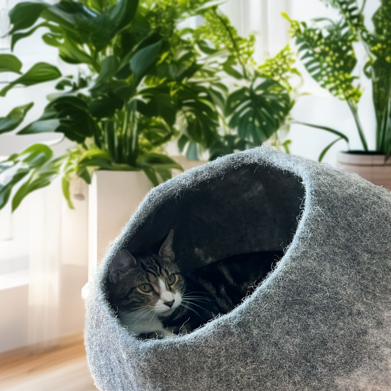 Graphite Ombre Organic Wool Cat Cave - Pet Bed