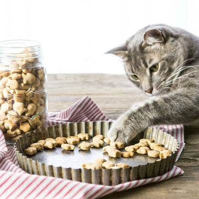 BoneItUp® Homemade Cat Treats Kit