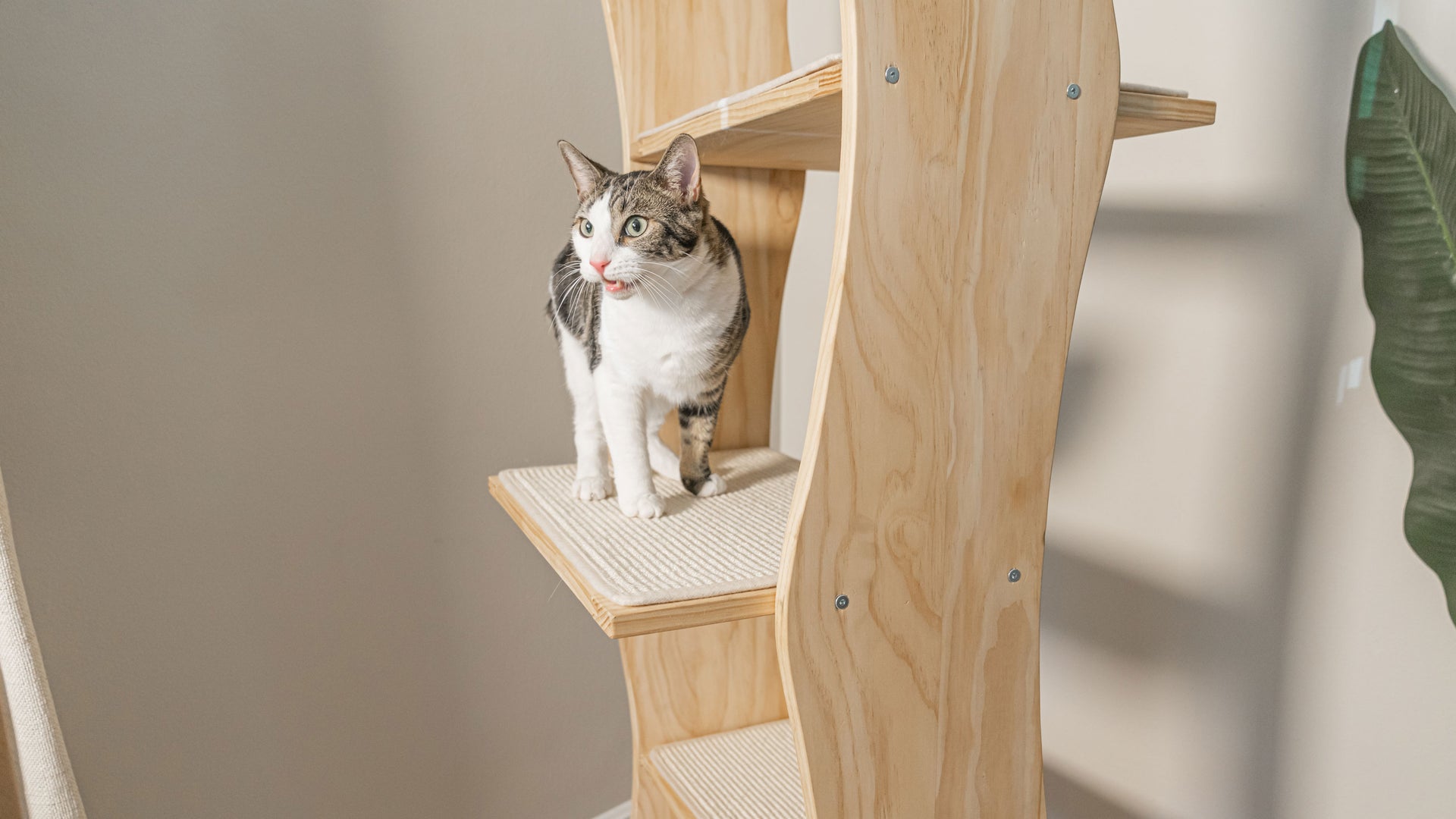 Modern Cat Tower - Mega Perch Cat Tree – Meowingtons