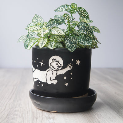 Space Cats Farmhouse Planter with Saucer