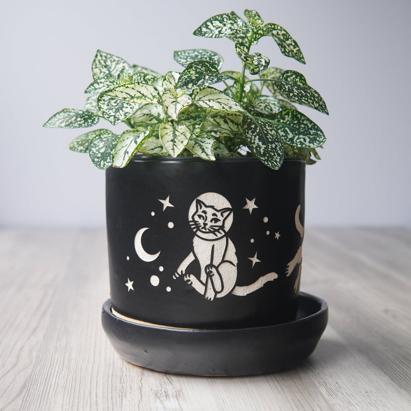 Space Cats Farmhouse Planter with Saucer