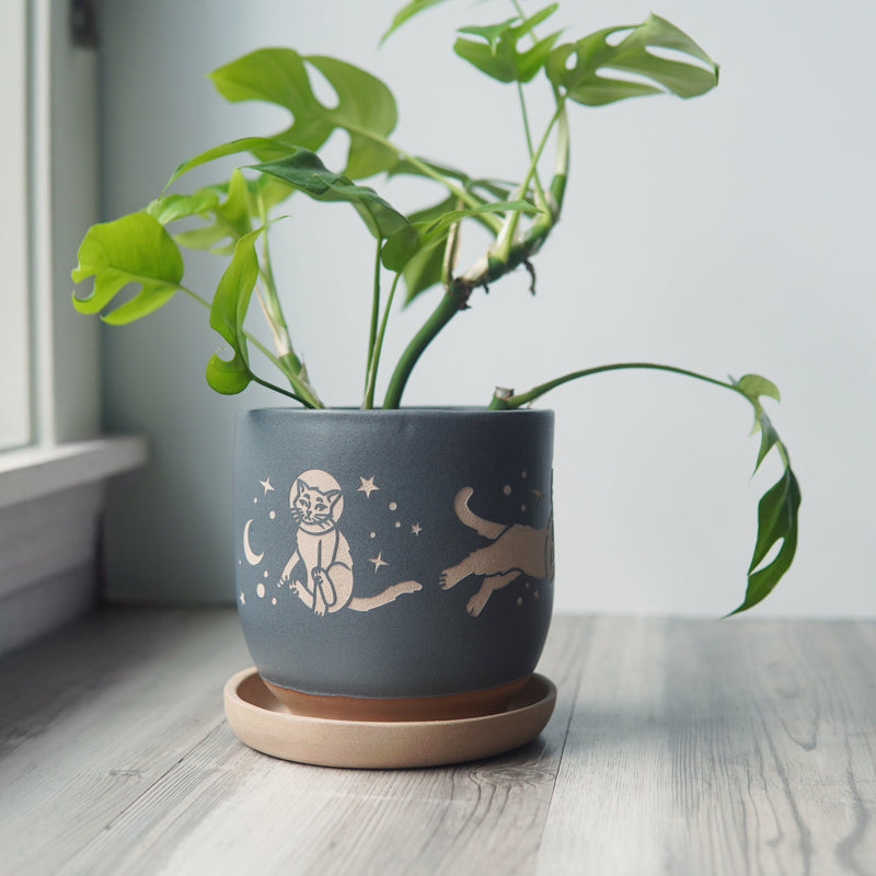 Space Cats Farmhouse Planter with Saucer