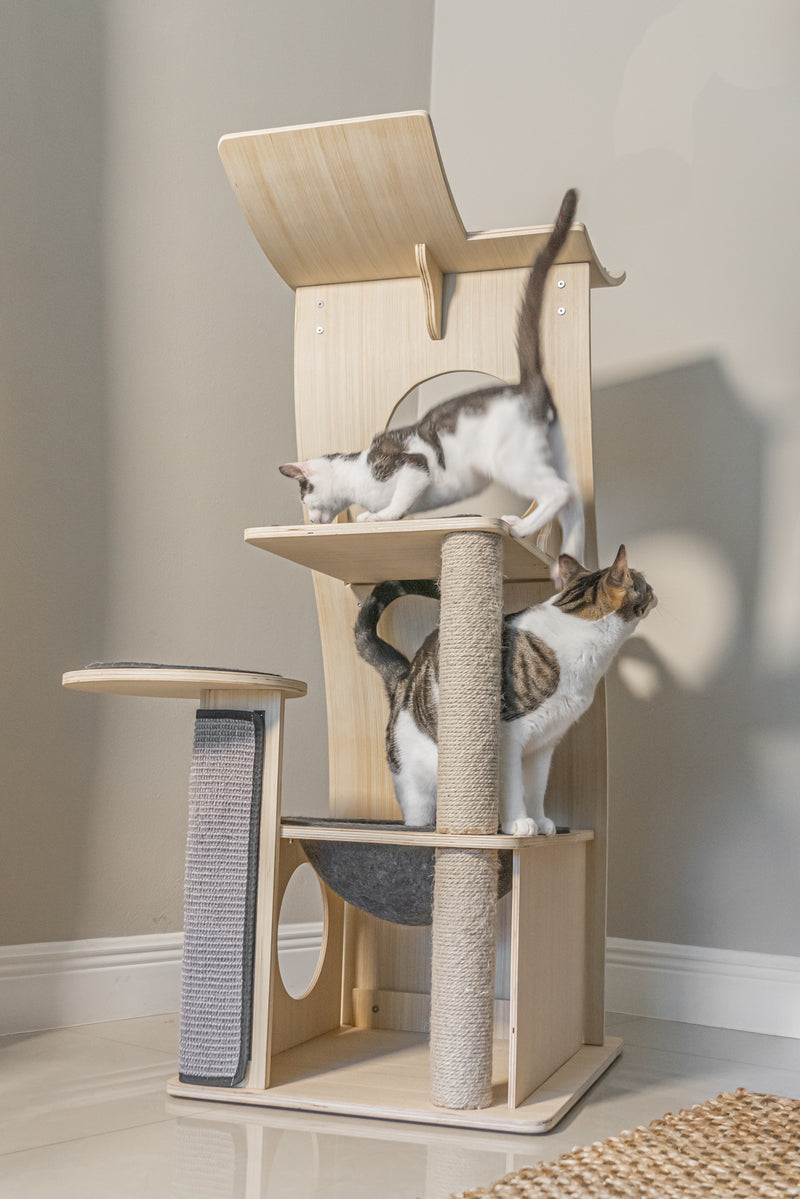 Cat Boutique For The Cat Lover – Meowingtons