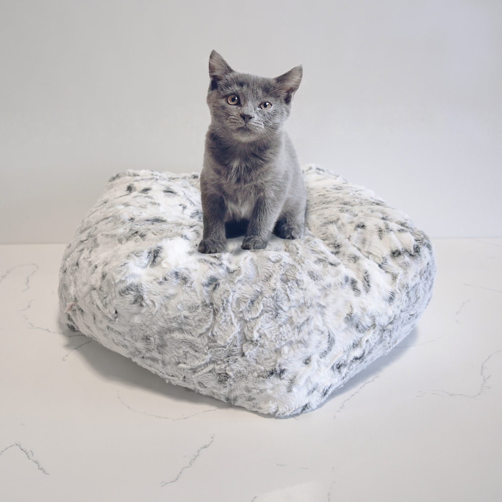 Cat on sale pouf bed