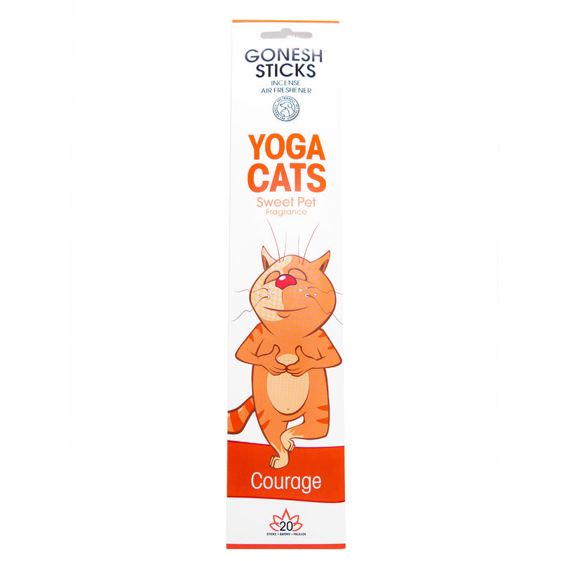 Kitten Yoga is the Newest Exercise Trend – Meowingtons