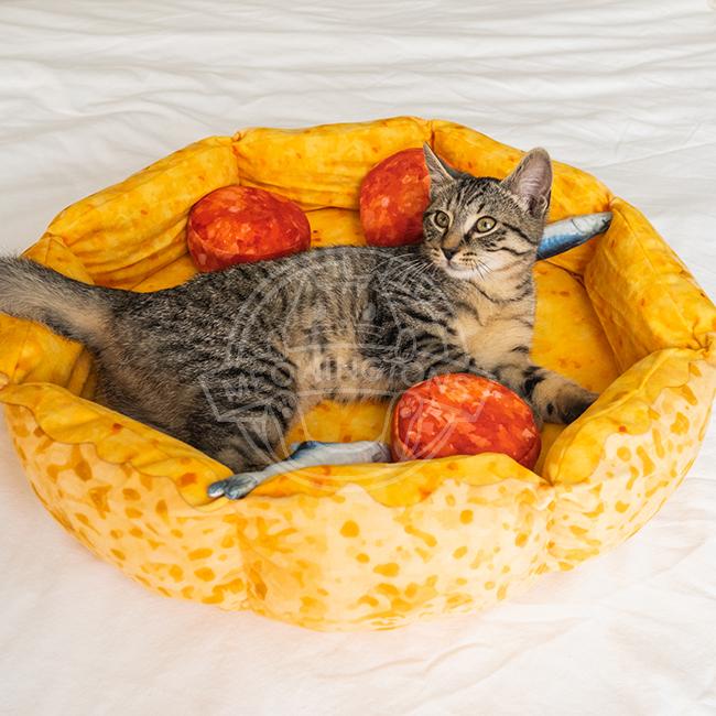 Awesome cat beds best sale