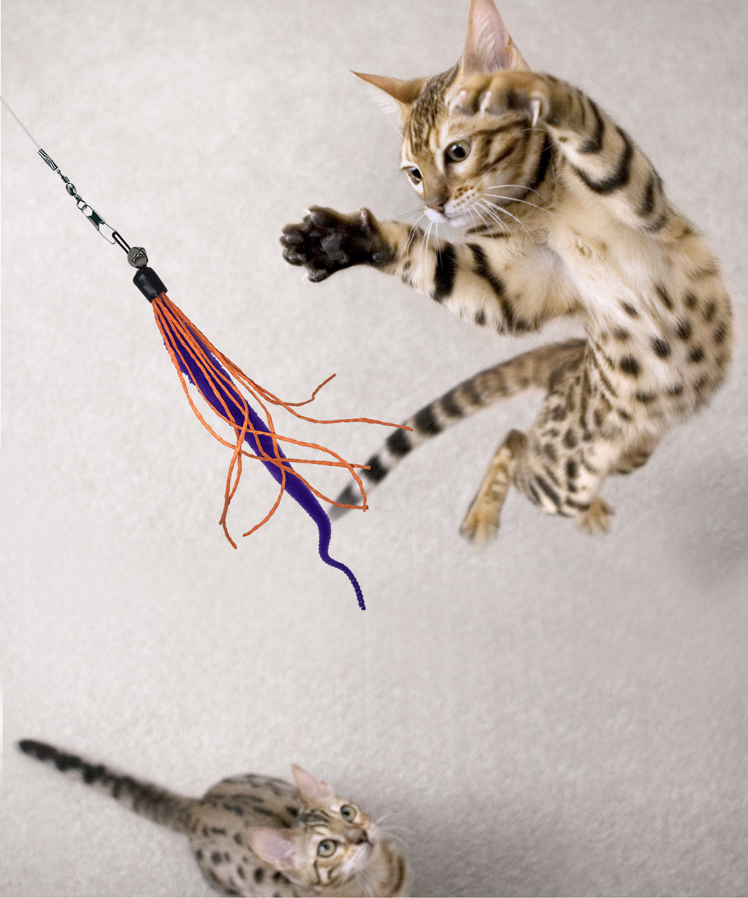 Cat wand toys best sale